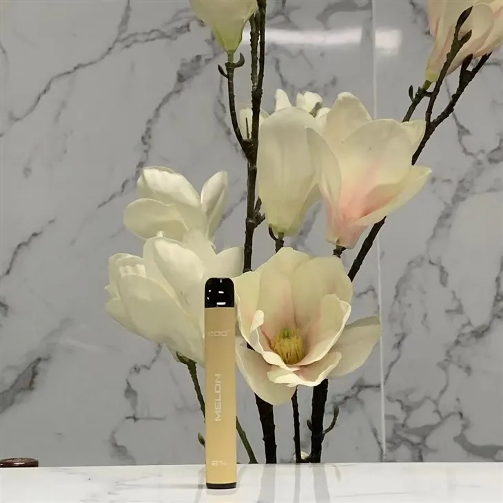 600 Puffs Disposable E Cigarette Wholesale