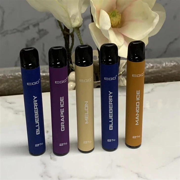 Trendy Disposable E-Cigarettes Vape With 600 Puffs